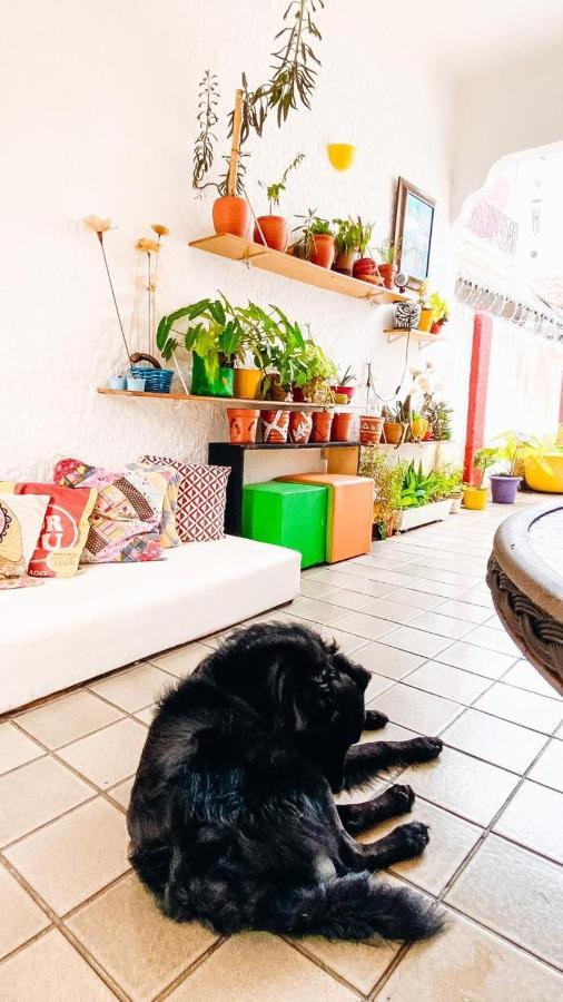 Zili Pernambuco - Hostel Pousada Ресифи Екстериор снимка