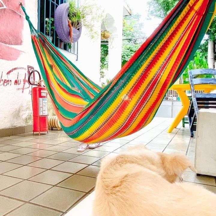 Zili Pernambuco - Hostel Pousada Ресифи Екстериор снимка